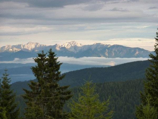 Ferienwohnungen Jagerhuettn Хохриндль Экстерьер фото
